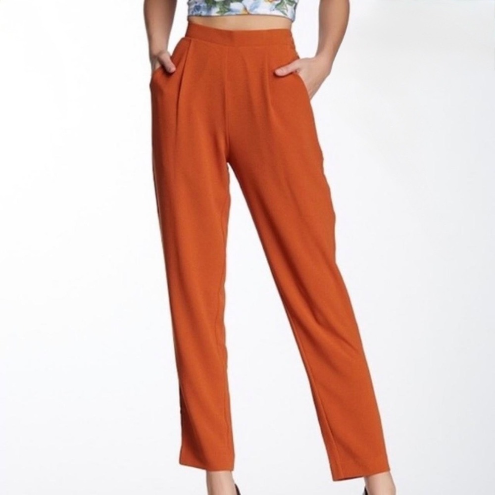 Vintage American Apparel Burgandy High Waisted Pleated Tapered Trousers Women M‎